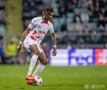 兰卡斯特大学莱比锡